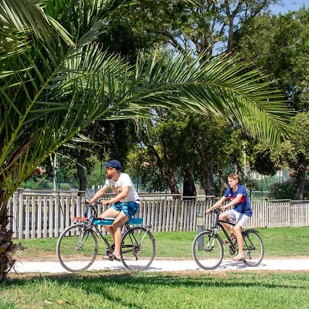 Camping Le Camp Du Domaine *
