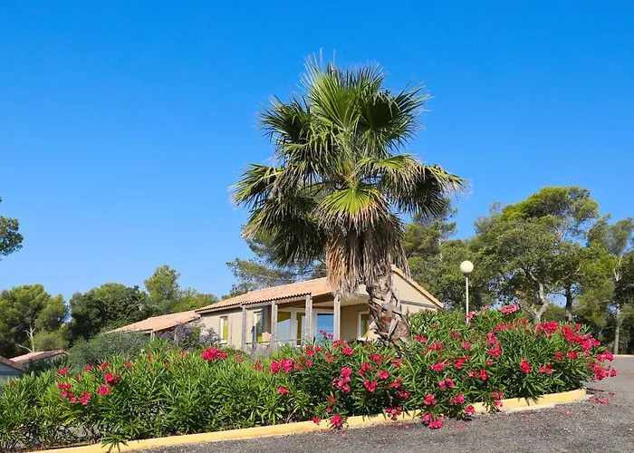 Camping Le Camp Du Domaine *